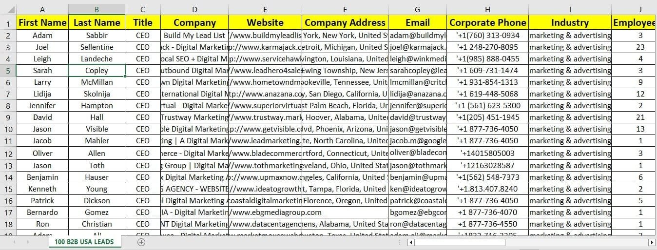 verified B2B leads report example